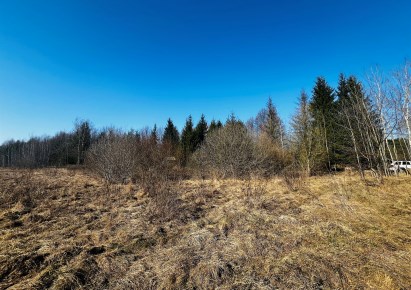 działka na sprzedaż - Supraśl (gw), Ciasne, Radosna