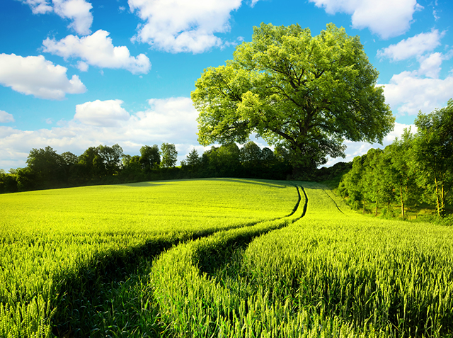 działka na sprzedaż - Supraśl (gw), Karakule