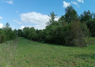 działka na sprzedaż - Mielnik