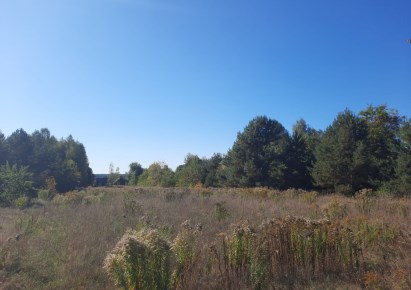 działka na sprzedaż - Michałowo (gw), Stara Łuplanka