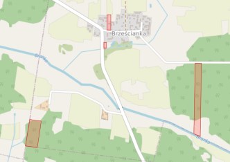 działka na sprzedaż - Bielsk Podlaski (gw), Brześcianka