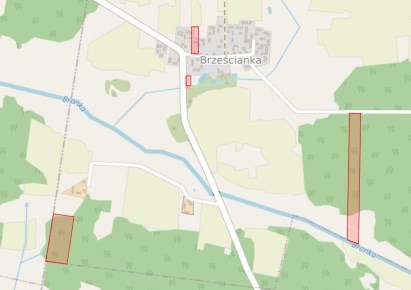 działka na sprzedaż - Bielsk Podlaski (gw), Brześcianka