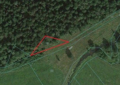 działka na sprzedaż - Szudziałowo, Lipowy Most
