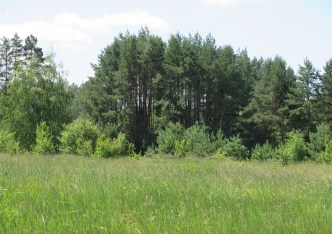 działka na sprzedaż - Zabłudów (gw), Kuriany