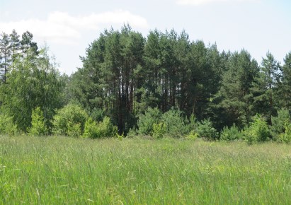 działka na sprzedaż - Zabłudów (gw), Kuriany