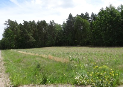 działka na sprzedaż - Zabłudów (gw), Pasynki