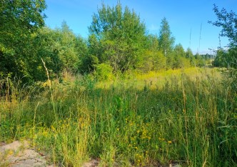 działka na sprzedaż - Turośń Kościelna, Baciuty