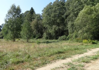 działka na sprzedaż - Supraśl (gw), Ciasne