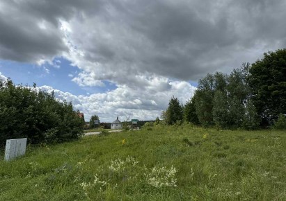 działka na sprzedaż - Szudziałowo, Wierzchlesie