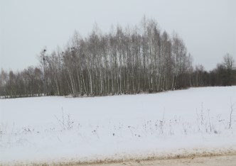 działka na sprzedaż - Turośń Kościelna, Baciuty-Kolonia